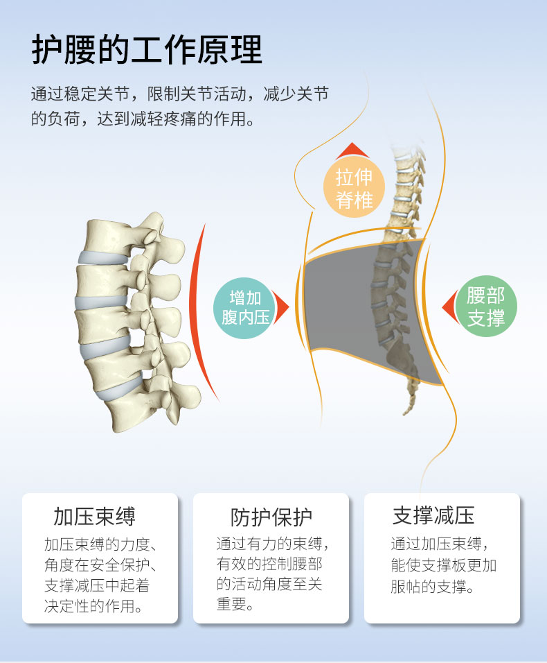 夏季專利護腰_常州普邦醫(yī)療設備